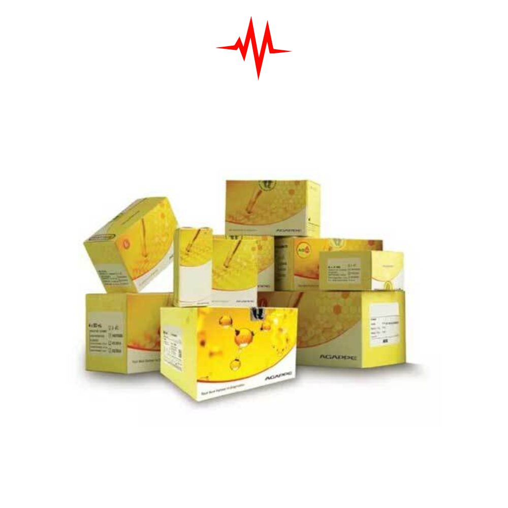 Agappe Widal Reagents (TO, TH, AH, BH) Complete Set – Rapid Typhoid Detection Kit for Clinical Use