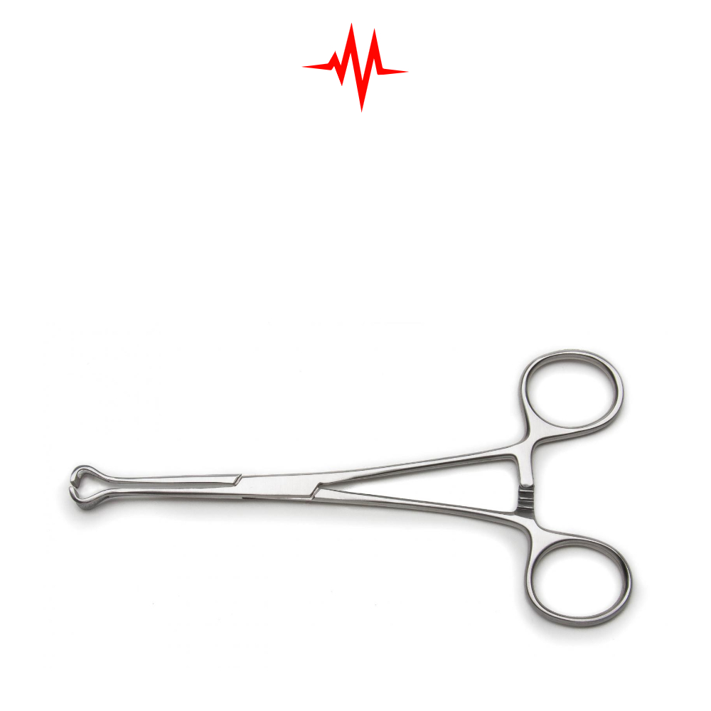 Babcock Tissue Forceps, 6″