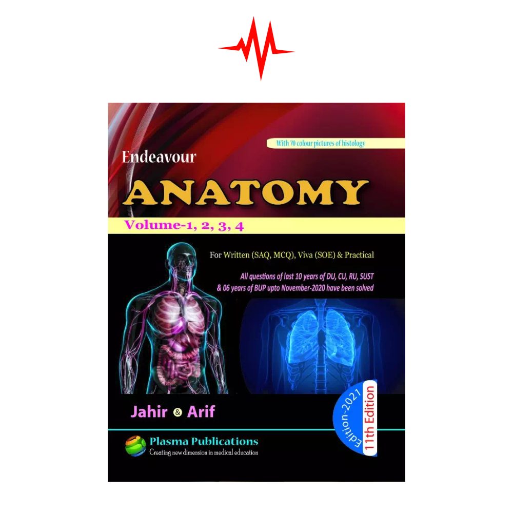 Endeavour Anatomy