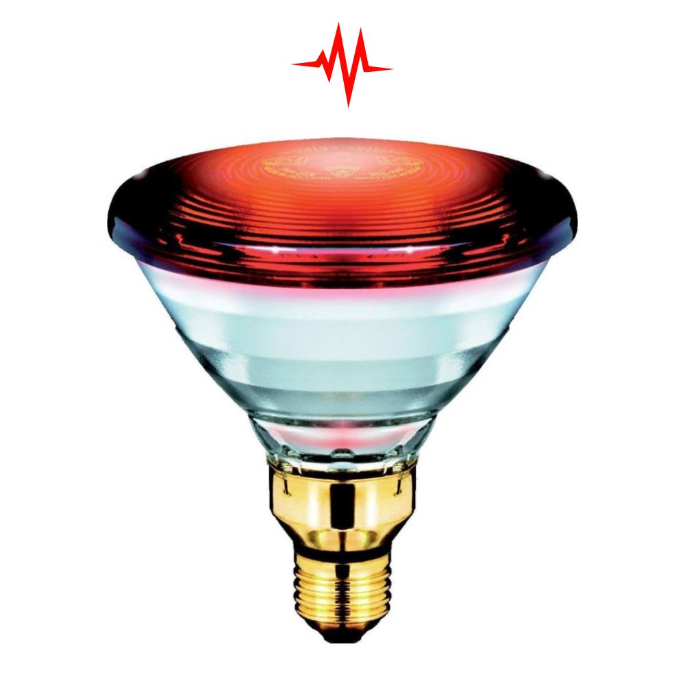 Philips Infraphil Infrared Replacement Bulb 150W