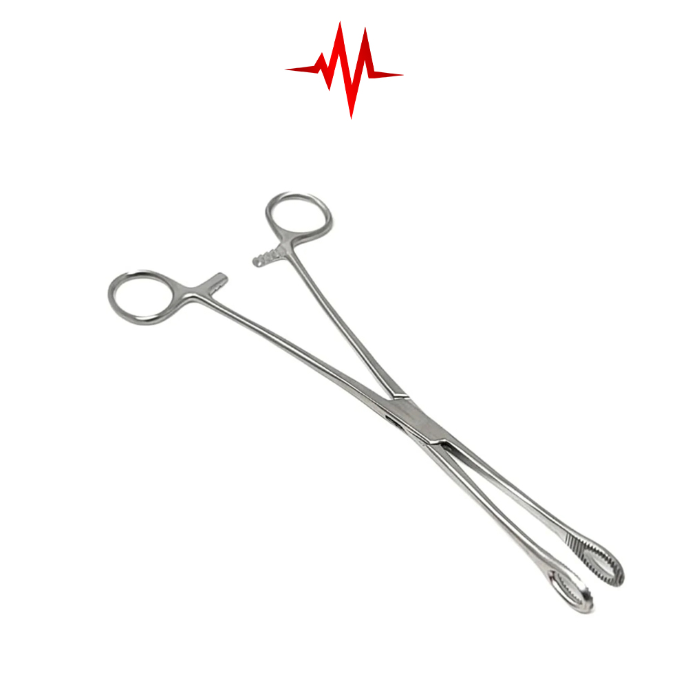 Sponge Holding Forceps Accurate 10 Inch