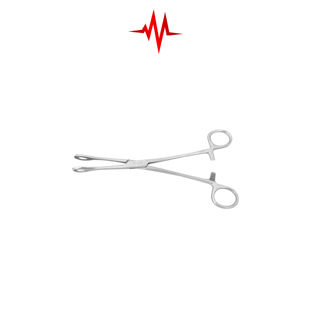 Sponge Holding Forceps AIZ