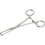 Allis Tissue Forceps 8″