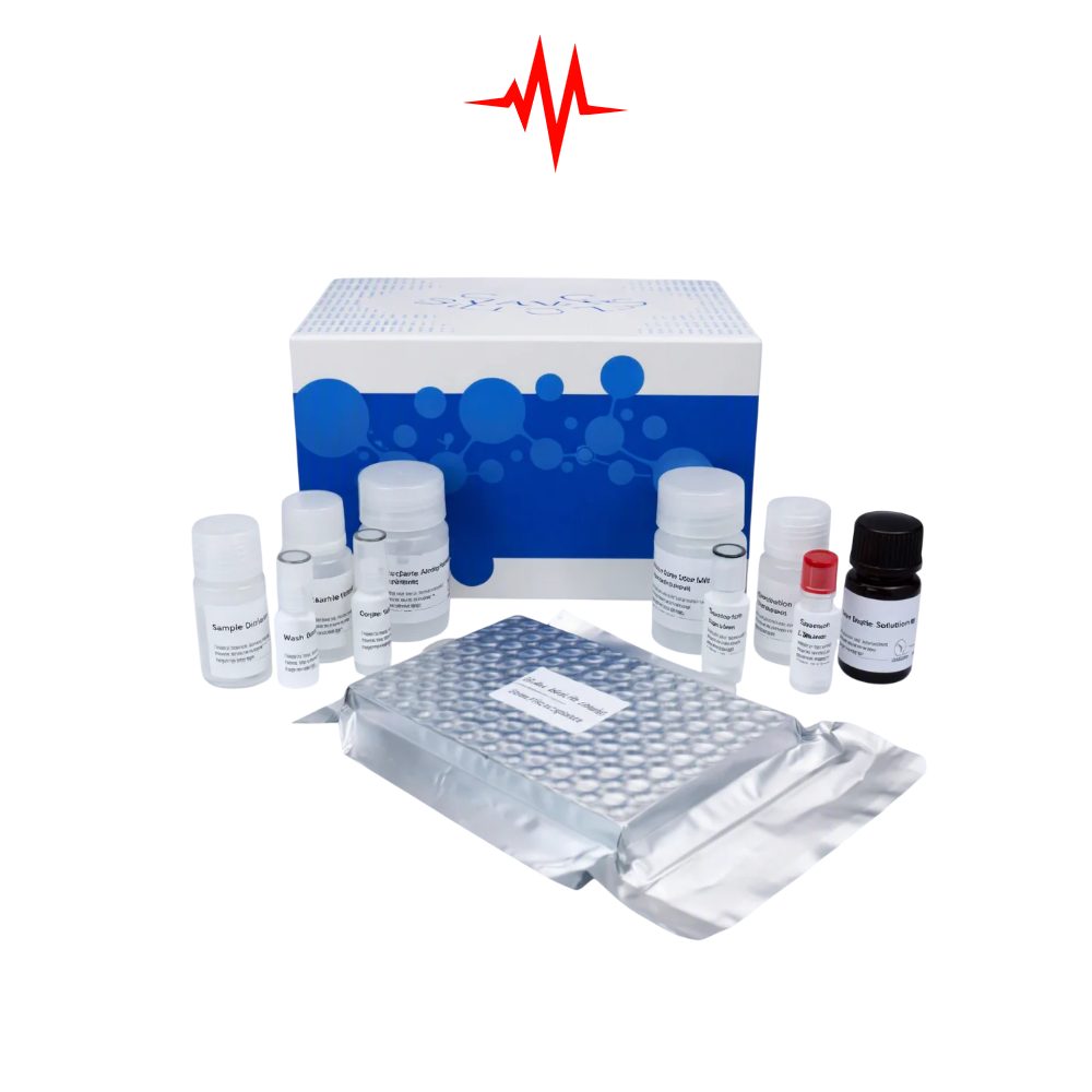 Precision VB12 elisa kit :: General Vitamin B12 ELISA Kit